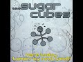The Sugarcubes : Speed Is the Key