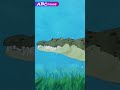 Underwater Crocodile ABCmouse Education Learning Animals Crocodile Crocodiles Australia