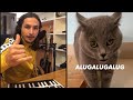 The Kiffness X Alugalug Cat 2 0 Please Go Away