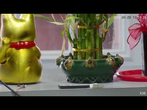 DSC Technology 36X Optical Zoom 2MP IP PTZ Dome Camera