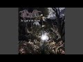 Lacertine Forest