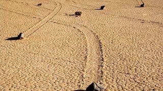 Mystery of Death Valley’s ‘Sailing Stones’ May Have Been Solved