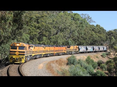 Adelaide Hills Trains: Five locomotives on GWA Grain Train