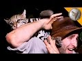 Ocelot ATTACK!