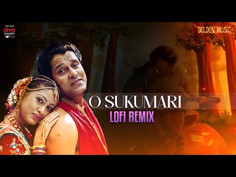 O Sukumari - Lofi Remix | Anniyan | Vikram | Harris Jayaraj | Chris Wayne