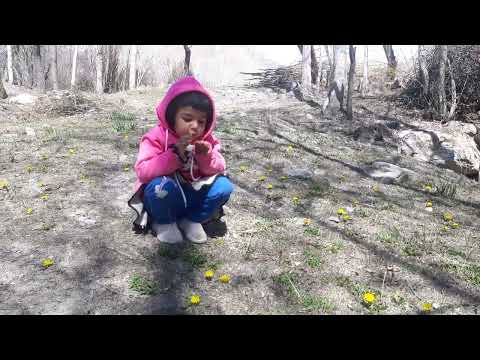 #Taqwa having fun with flowers #jani #first vlog 