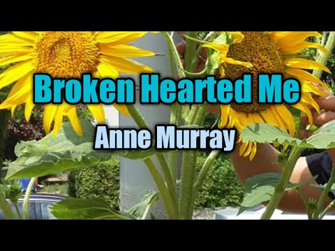 Broken Hearted Me - Anne Murray
