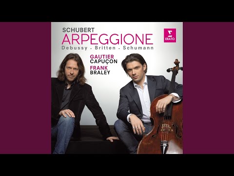 Cello Sonata in D Minor, CD 144, L. 135: III. Final. Animé, léger et nerveux