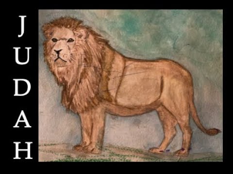 LION of the Tribe of JUDAH