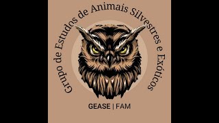 FISIOTERAPIA EM ANIMAIS SILVESTRES: M.V Juliana Dias e M.V Priscila Freitas