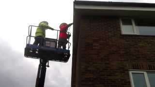 No wasps nest too high for us.