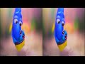 3D SBS HDR 4K