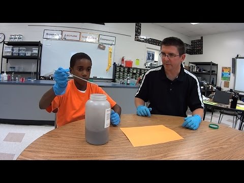 EpicScience - Magnetic Fields with Iron Filings