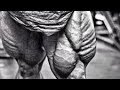 Training legs with knee pain - Road to pros - offseason