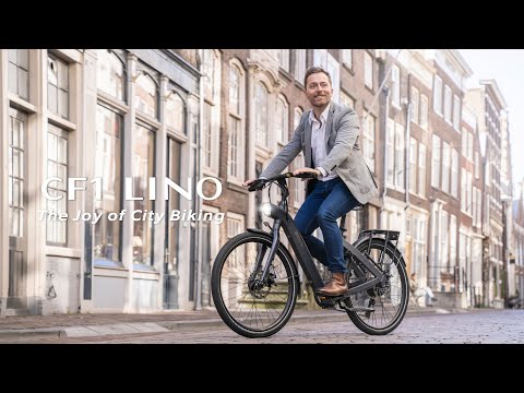 BESV CF1 LINO 26" - The Joy of City Biking