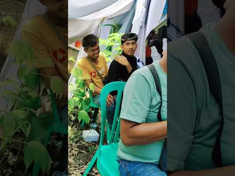 ARYA GALIH ARTIS KONDANG JAWA TIMUR LIWAT BELAKANG PANGGUNG