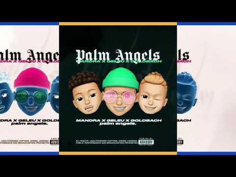 Palm Angels (mandra x geleu x goldbach)