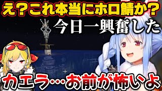 ホロ鯖とは思えないレベルのカエラの島を見て興奮するぺこら【ホロライブ切り抜き/兎田ぺこら/カエラ・コヴァルスキア】