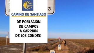 preview picture of video 'Camino de Santiago. De Población de Campos a Carrión de los Condes'