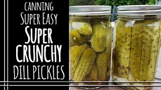 Super CRUNCHY Dill Pickles