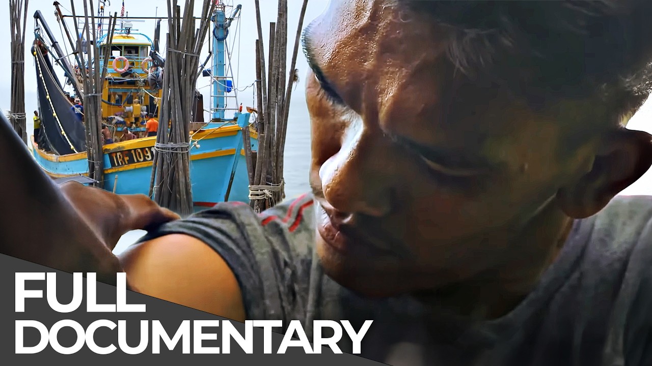 The Fisherman's Curse: Malaysia's Deadly Drug Coast
