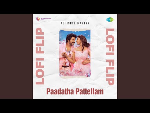 Paadatha Pattellam - Lofi Flip