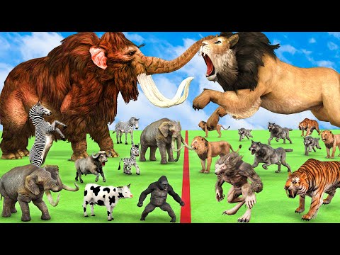 Giant Mammoth Elephants vs Zombie Wolf vs 5 Giant Lion Tiger Attack Zebra Cow Buffalo Gorilla