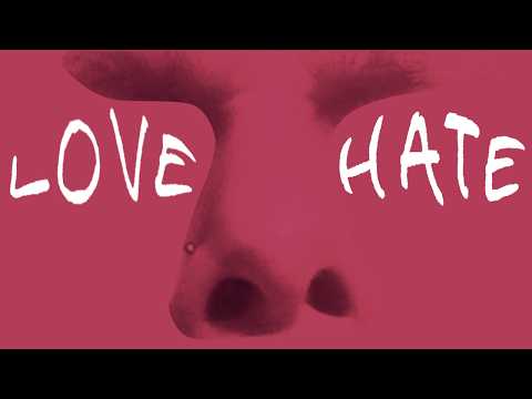 I Love/Hate The Aide | Music Short Film