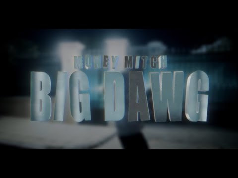 DSD MoneyMitch - BIG DAWG (prod. Zodiacc)