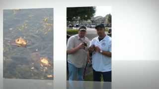 preview picture of video 'Rodent Removal | Memorial City  Texas | 832-464-4119'