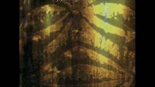 THE FUTURE SOUND OF LONDON - PAPUA NEW GUINEA (andrew weatherall full length mix)