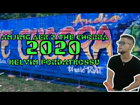 ANJING AER 2_THE CHOBRA_ KELVIN FORDATKOSSU 2020