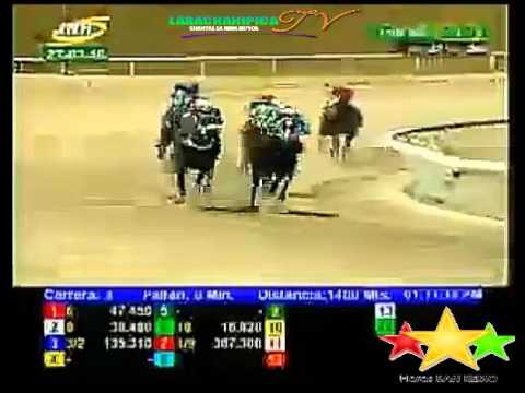 LA RINCONADA 3 CARRERA, DOMINGO 27 DE MARZO DEL 2016