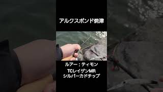 釣れてる動画 アルクスポンド焼津