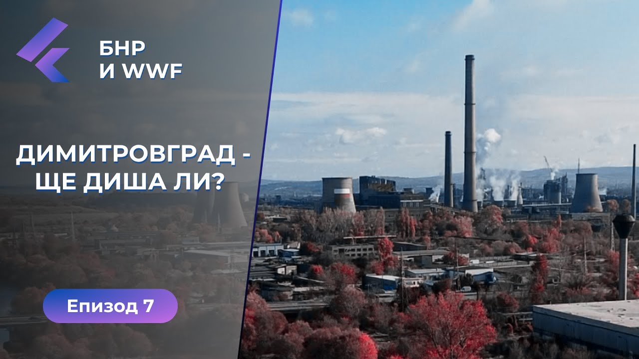 WWF и БНР: Повече от 2 години Димитровград системно бива обгазяван от ТЕЦ 3