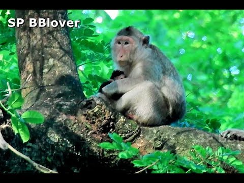 June Give Birth To New Baby This Year