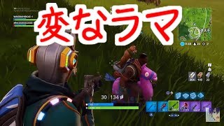 【Fortnite】おかしなラマがいた･･･【enjoyの日常】