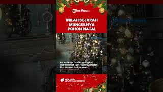 Inilah Sejarah Munculnya Pohon Natal, Berawal dari Cerita Adam dan Hawa di Jerman dan Jadi Tradisi