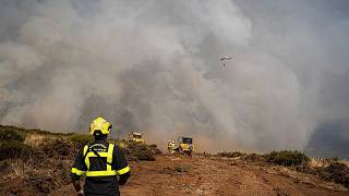 Imágenes aéreas muestran la magnitud del incendio de La Mierla en España
