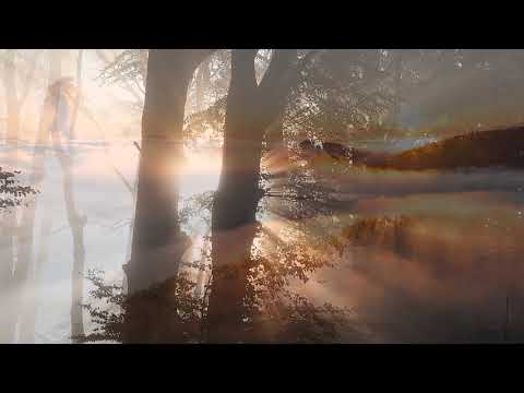 Rene Park - Resolution (Sunrise Mix) [Official Video]