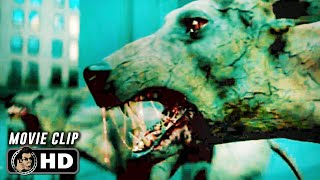 Infected Dogs Attack Scene | I AM LEGEND (2007) Will Smith, Movie CLIP HD