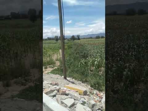 3 de septiembre de 2025(san jose bellavista)