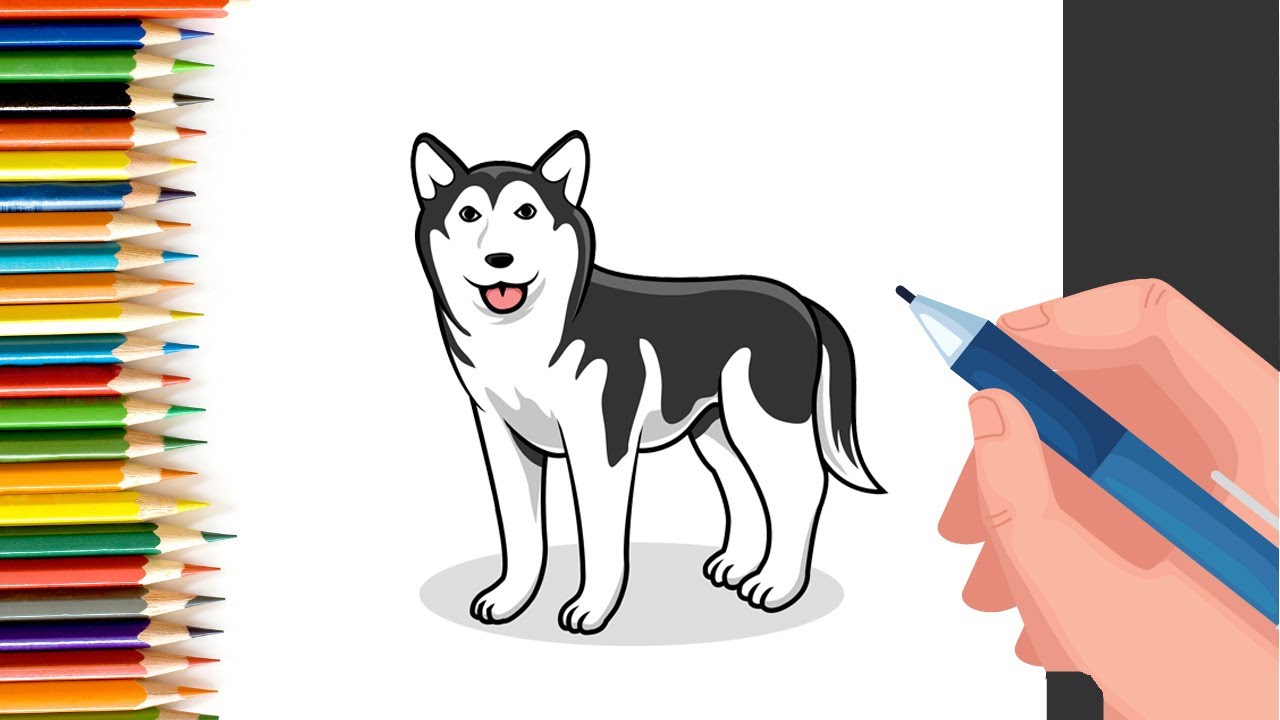 How to Draw easy Husky step by step for Kids   #shorts