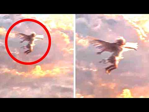 Top 10 Real Angels Caught On Camera