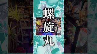誕生日に貰ったフライングボール！光るとマジで螺旋丸🌀これマジで楽しい⚡️#naruto #maximalist #roomtour #オタク部屋 #ナルト
