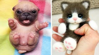 Cute little animals - Dog, cat, chicken, elephant, cow, tortoise
