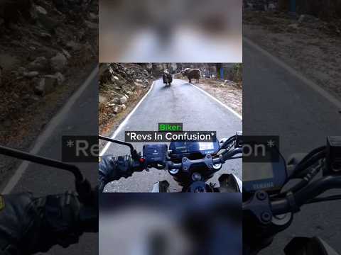 Biker rethinks his life decisions💀