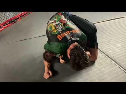 Full mount, Seated vs standing Blue vs White belt