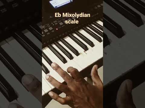 Eb Mixolydian scale #shortsvideo