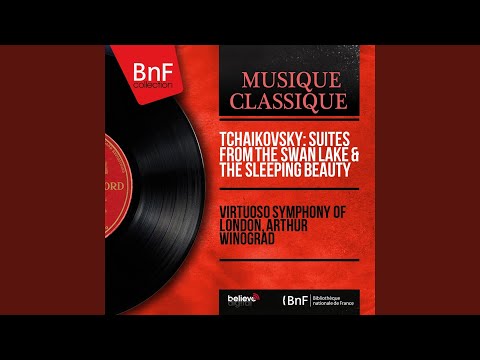 Suite from The Sleeping Beauty, Op. 66a: Panorama
